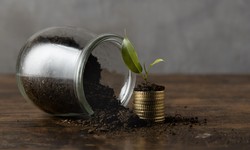 Building a Strong Financial Foundation: Top 10 Essential Insights into Capital Preservation