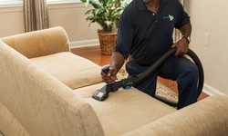 The Ultimate Guide to Upholstery Elegance: Fabric Couch Cleaning Tips
