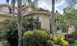 Top Expectations: What to Look for in the Best Roofing Contractor in Cape Coral