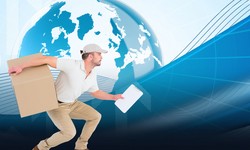 What Are International Courier Services and What is Their Importance?