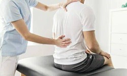 Exploring Chiropractic and Physical Therapy Approaches for Lower Back Pain in Honolulu