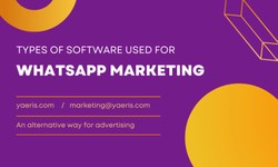 Unleash the Power of WhatsApp with the Best Software Solutions