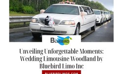 Unveiling Unforgettable Moments: Wedding Limousine Woodland by Bluebird Limo Inc