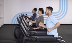 Elevate Your Fitness Space with a Premier Gym Machine Supplier