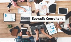 What is Ecovadis, it’s Principles and Importance?