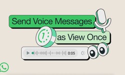 Whatsapp Adds Disappearing Voice Messages to Its Roster of Privacy Features
