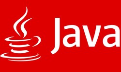 Java for Big Data: Processing and Analysis Techniques