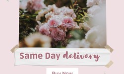 Surprise your Loved Ones with Same Day Flower Delivery: A Step-by-Step Guide