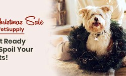 Celebrate Christmas with VetSupply’s Exclusive Sale & Pet Tips