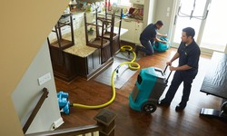 AquaRevive: Comprehensive Water Damage Solutions in Hampden County