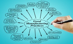 Ensuring Operational Excellence: A Comprehensive Guide to Stability Programs in cGMP Compliance