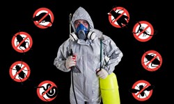 Emergency Pest Patrol: Same-Day Extermination Excellence
