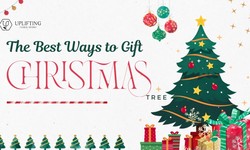The Best Ways to Gift a Christmas Tree