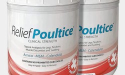 Reasons to Choose Health and Wellness Supplements for Performance Horse