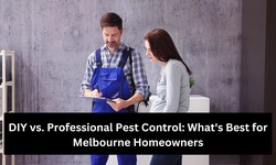 DIY vs. Professional Pest Control: What's Best for Melbourne Homeowners