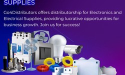 When starting a electronics and electrical supplies distributorship, what factors should be considered?