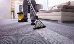 Why Hiring a Professional Carpet Cleaning Service in Melbourne is Worth Every Penny?