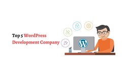 Top 5 WordPress Development Company