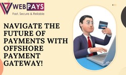 Navigate the Future of Payments with Offshore Payment Gateway!