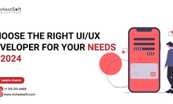 Choose the Right UI/UX Developer for Your Needs in 2024