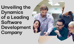 Unveiling the Dynamics of a Leading Software Development Company: A Comprehensive Guide