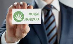 Unveiling the Green Frontier: Medical Marijuana in Florida - Legality and Regulations
