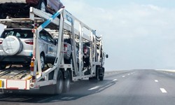 "Best Way Auto Transport: Your Trusted Partner in Vehicle Shipping"