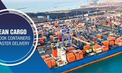 Spedition India: Ocean Freight Services International Container Shipping