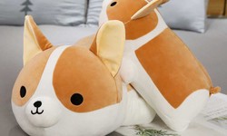 How to Care for Your Cute Dog Plush Collection