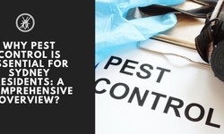 Why Pest Control is Essential for Sydney Residents: A Comprehensive Overview?