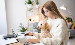 Engaging Online Veterinary Courses: The Art of Audience Connection