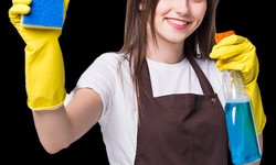Carpet Cleaning in Chatswood-RENTAL CLEANING IN ASHFIELD