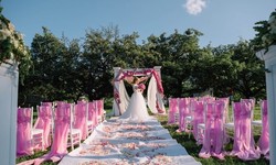 Discovering the Charm of Cypress Wedding Venue :A Perfect Union of Elegance and Nature