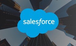 Elevate Your Business with Salesforce Customization: Tailoring CRM Solutions with Gate6, the Top Salesforce Development Company