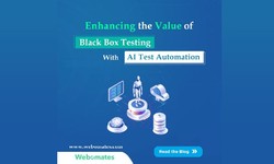 Black box Testing vs AI Test Automation