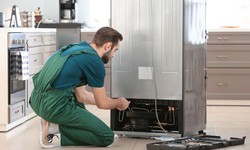 "Efficient Solutions for LG Fridge Repair: Choosing the Right Service for Your Appliance"