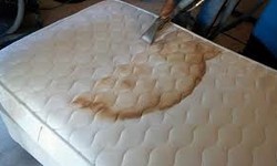 Banishing Bedroom Mold: Mattress Mould Removal Tips