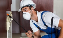 Your Trusted Residential Pest Control Experts in Ohio | Kreshco Pest Control