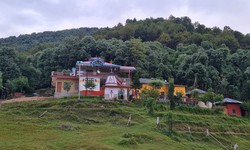 Homestay in Palampur: Unwind in the Embrace of Himalayan Charm