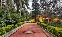 Best Homestays in Sakleshpur for Family: A Memorable Retreat