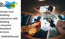 Elevate Your Wedding Experience with Wedding Limousine Woodland Service