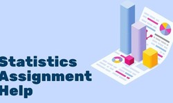 Unlock The Power Of Statistic Assignment Help
