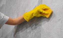 SOFT WASHING VS PRESSURE WASHING: MAKING THE RIGHT CHOICE FOR YOUR HOME