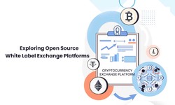 Exploring Open Source White Label Crypto Exchange Platforms