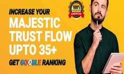 I will increase your majestic trust flow of up to 40 plus with SEO