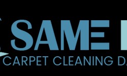 Revitalize Your Home with Professional Carpet Cleaning in Dandenong