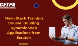 Mean Stack Training Course: Building Dynamic Web Applications from Scratch