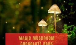 Sourcе of Magic Mushrooms