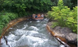 Dandeli Resorts