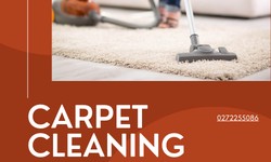 Deep Clean Delight: Mastering the Art of Carpet Care